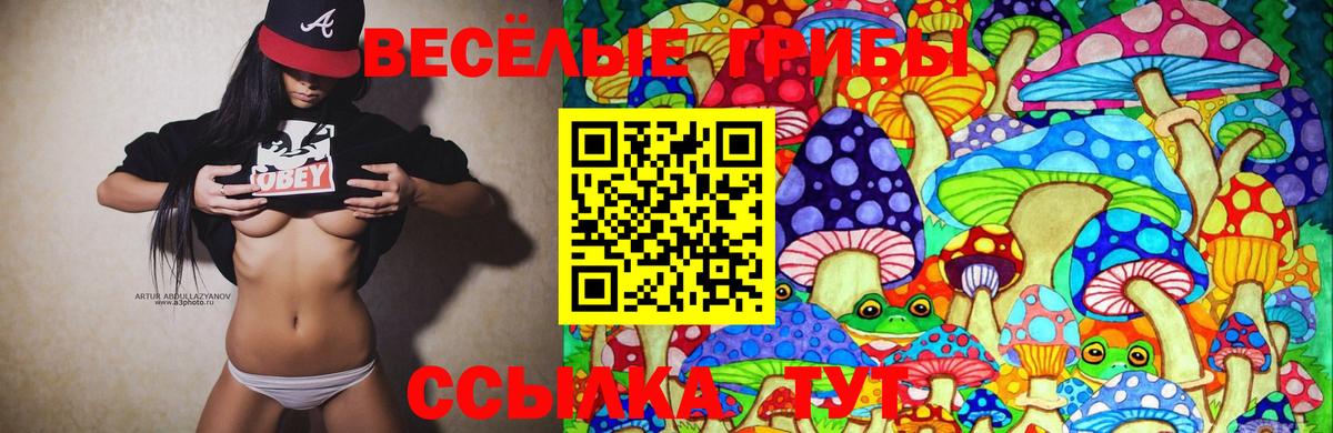 Псилоцибиновые грибы Magic Shrooms Саяногорск